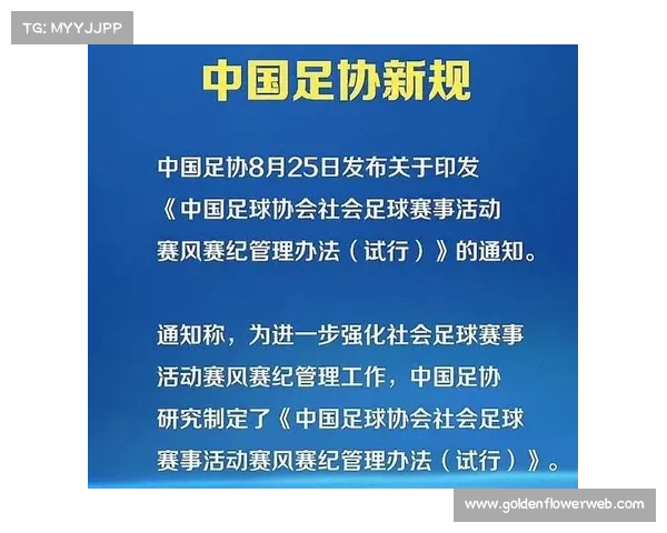 球迷热议新规引发持续关注各方观点交锋凸显足球发展趋势